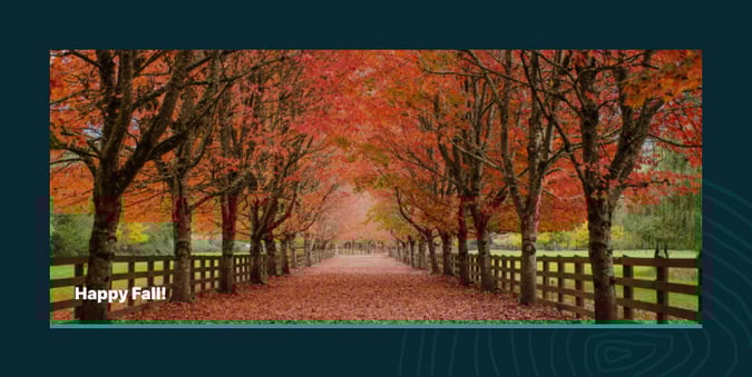 Blog Q4 Ironwood Insights _ Happy Fall