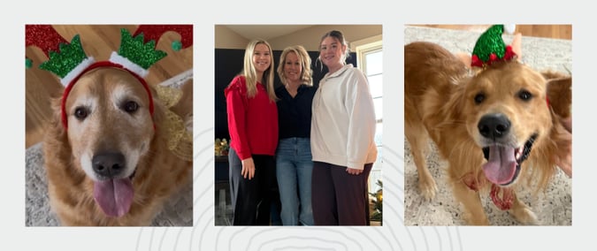 Platinum - 3 col image